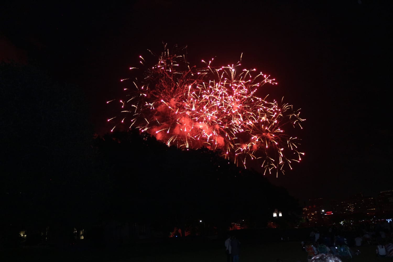 Red and gold fireworks bursting over the treeline across the Charles River, watched from the lawn.