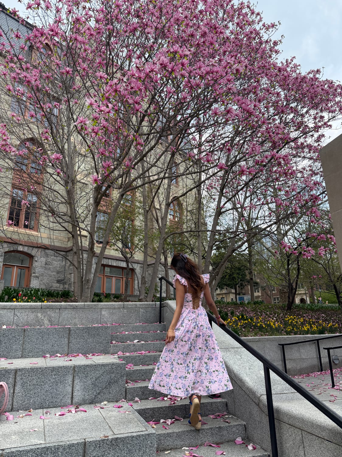 Ava on the Penn campus steps under magnolia blossoms