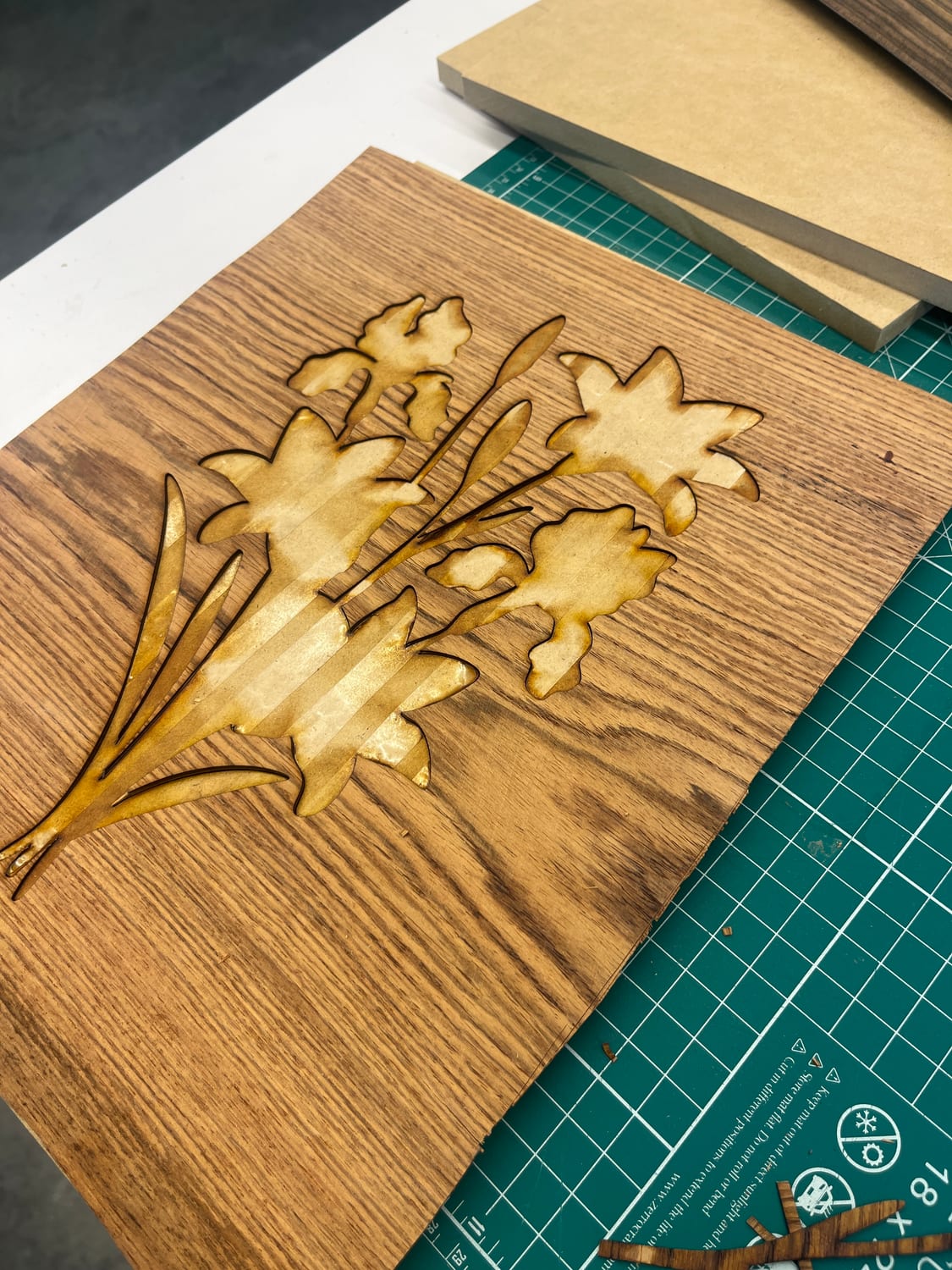 Freshly cut veneer pieces with laser-charred edges, still nested in the surrounding sheet.